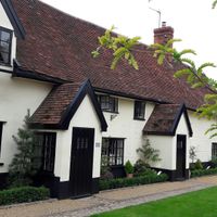 The walnut tree at The Walnut Tree in Eye