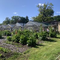 Pretty gardens!   at Rosendals Tradgardskafe in Stockholm