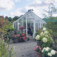 garden outside at Rosendals Tradgardskafe in Stockholm