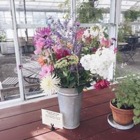 flowers at Rosendals Tradgardskafe in Stockholm