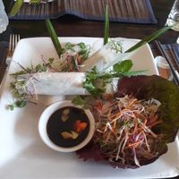 my salad dish today
beautifully decorated but not really yummy
very normal.  at Koto in Hanoi