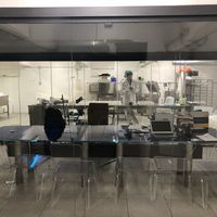 Cheese in the making !  at Dall'Albero in Rome