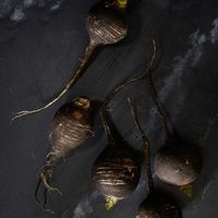 Root veg at Nota Bene in Toronto