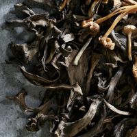 Mushrooms 2 at Nota Bene in Toronto