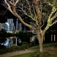   at Siam Purity in Broadbeach