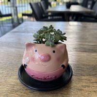   at Siam Purity in Broadbeach