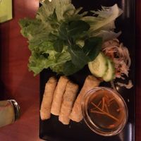 Nems at La Palanche d'Aulac in Paris