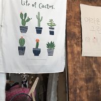 Guard dog :) at Around Green - 어라운드 그린 in Seoul