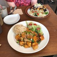 Tofu Stir Fry and Eggplant Stir Fry at Around Green - 어라운드 그린 in Seoul