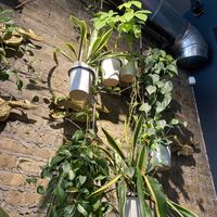   at Urbanbelly in Chicago