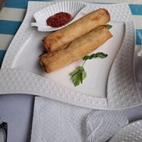 Vegan veg roll at Sofia in Chefchaouen