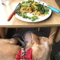 Breakfast options- scrambled tofu   at The Sound Lounge in South West London