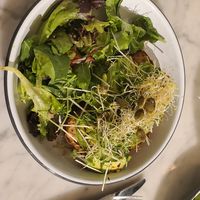 Avocado toast at Turf in Vancouver