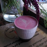  at Cafe Kosmos in Odense