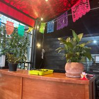 El Vegano  at El Vegano in Guadalajara