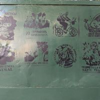 Vibe at El Vegano in Guadalajara