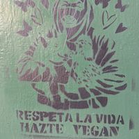 Vibe at El Vegano in Guadalajara