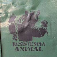 Vibe at El Vegano in Guadalajara