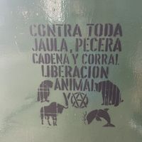   at El Vegano in Guadalajara