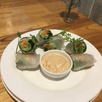 Fresh veggie spring rolls at Enso Cafe in Phnom Penh