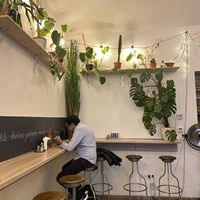 Beautiful plant space   at Sandokan Vegan Bistro in Prague
