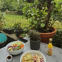   at Sandokan Vegan Bistro in Prague