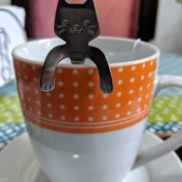 Cup of herbal tea at La Cocina de Beterraga Rebelde in Valparaiso