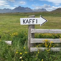 entry  at Kaffi Havari in Djupivogur