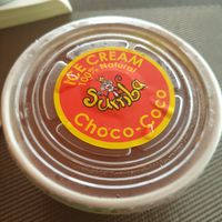 Vegan chocolate ice cream at Sunrice in Quepos