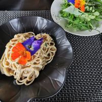 Pasta with salad at The Organic Farm Bali in Tabanan