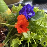   at The Organic Farm Bali in Tabanan