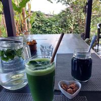 Moringa and butterfly pea tea picked fresh from the garden at The Organic Farm Bali in Tabanan