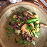 Dumplings and oyster mushrooms  at Mineral in Malmo