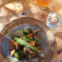 Garden dumplings with ramson and sea buckthorn at Mineral in Malmo