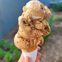 Vegan french silk and vegan coffe chocolate chip ice cream at BRICS in Indianapolis