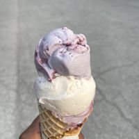 Vegan vanilla bean and vegan blackberry   at BRICS in Indianapolis