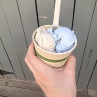 Vegan vanilla bean and birthday cake at BRICS in Indianapolis