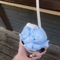 Vegan ice cream!  at BRICS in Indianapolis