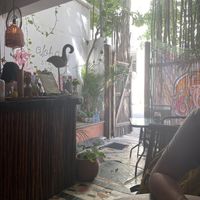 Interior 2 at Aloha Raw Bar in Playa Del Carmen