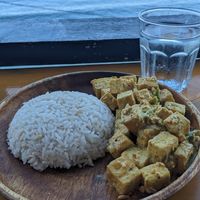 🍢🍚 Tofu with Rice (300PHP | 5.3$) - Curry at Seed Dreams in El Nido