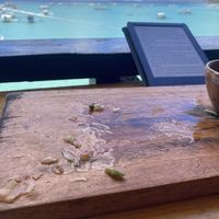 Grease left over from spring rolls   at Seed Dreams in El Nido