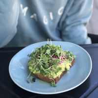 Avocado toast  at Wild Island in Orcas Island