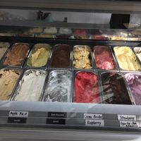 Flavours  at Gelato 101 Vegan Artisan in Northbridge
