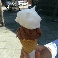 Chocolate citron at Gelato 101 Vegan Artisan in Northbridge