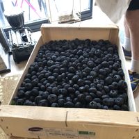Fresh blueberries!  at World Food Barn in Paris