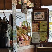   at Khun Kae's Juice Bar in Chiang Mai