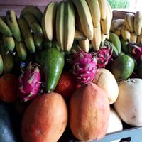 Fruits :) at Khun Kae's Juice Bar in Chiang Mai