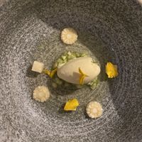 Tuber at VeVe in Copenhagen