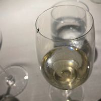 The company. at VeVe in Copenhagen