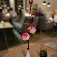 #Veganuary at VeVe in Copenhagen